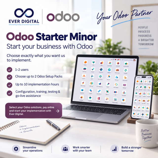Odoo small business implementation